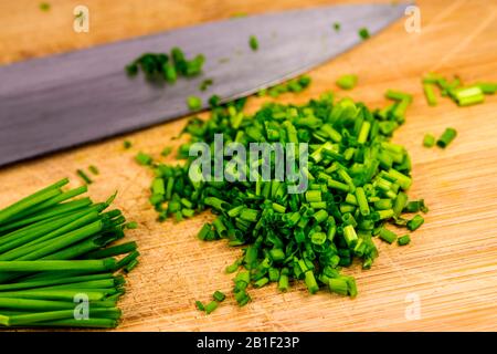 erba cipollina, fessa tagliò le foglie in un primo piano Foto Stock