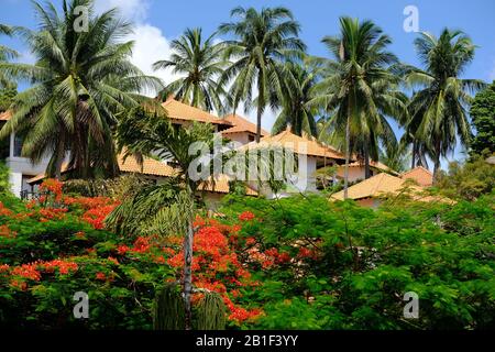 Batam Indonesia - Case e alberi in fiore nella zona di Nongsa Beach Foto Stock