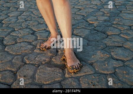 Gambe di donna matura nel fango che si erge sul fondo secco dell'estuario salato Foto Stock