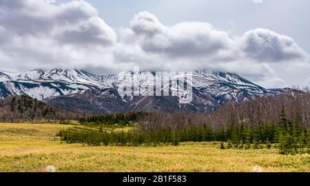 Paesaggio naturale, montagne ondulate e boschi in alta latitudine paese primavera. Parco nazionale Shiretoko, Hokkaido, Giappone Foto Stock