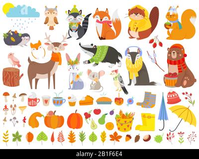 Autunno foresta animali. Scoiattolo di caduta, orso divertente e volpe autumnal cute. Set di vettori di cartoni animati di foglie cadute Illustrazione Vettoriale