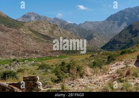 Michell'S Pass, Ceres, Western Cape, Sud Africa. 2019. Michell's Pass, vicino alle montagne Ceres e Skurweberg nel Capo Occidentale, Sud Africa Foto Stock