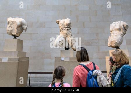Un visitatore osserva i marmi del Partenone, noti anche come marmi di Elgin al British Museum, West Pediment, Parthenon Gallery, Londra, Inghilterra Regno Unito Foto Stock