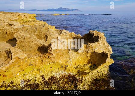 Scogliere calcaree erose a spigoli vivi sulla costa vicino A Can Picafort, Maiorca, Isole Baleari, Spagna Foto Stock