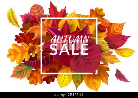 Banner di vendita autunnale. Vendite di stagione di autunno, sconto autunnale e cadere foglie banner frame illustrazione vettore Illustrazione Vettoriale