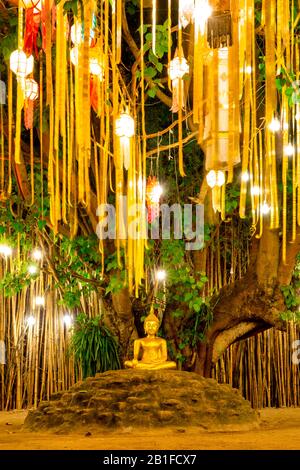 Immagine di Buddha seduta sotto un albero di Bodhi in Wat Phan Tao, Chiang mai, Thailandia Foto Stock