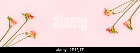 Striscione con fiori freschi su sfondo rosa pastello. Composizione floreale con luogo per il testo. Foto Stock