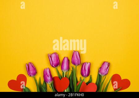 tulipani rosa porpora e cuori rossi lavorati su sfondo giallo con copyspace Foto Stock