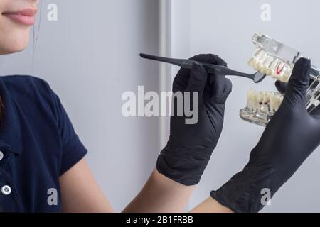 Primo piano di un medico dentista, sorridente, indossando guanti, tenendo in mano uno strumento dentale per l'esame, e un manichino di mascelle umane che mostra su t. Foto Stock