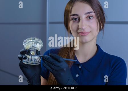 Primo piano di un medico dentista, sorridente, indossando guanti, tenendo in mano uno strumento dentale per l'esame, e un manichino di mascelle umane che mostra su t. Foto Stock