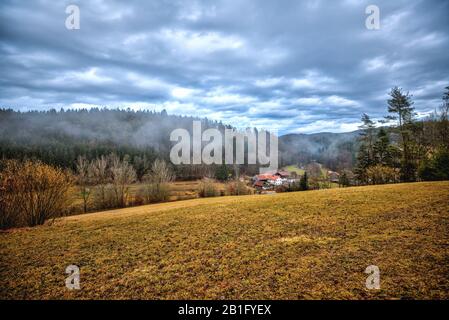 Una piccola fattoria bavarese nella foresta Foto Stock