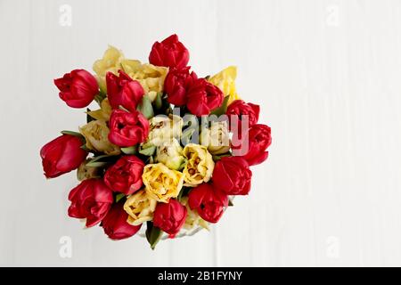 Un mazzo di tulipani bianchi e rossi in vaso fotografato dall'alto Foto Stock