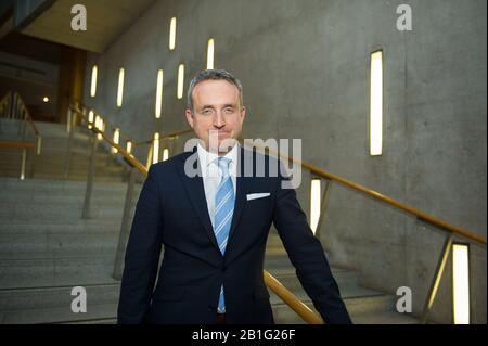 Edimburgo, Regno Unito. 25th Feb, 2020. Nella foto: Alex Cole-Hamilton MSP - MSP per Edinburgh Western, portavoce per la salute del Partito Liberale democratico Scozzese. Vista sui gradini della lobby Garden del Parlamento Scozzese. Credito: Colin Fisher/Alamy Live News Foto Stock