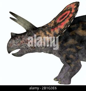 Torosaurus era un dinosauro Erbivoro Corazzato Ceratopsiano che viveva in Nord America durante Il periodo cretaceo. Foto Stock