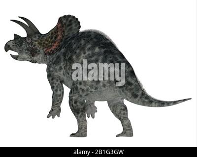 Triceratops era un dinosauro Erbivoro Ceratopsiano che viveva in Nord America durante Il periodo Cretaceo. Foto Stock