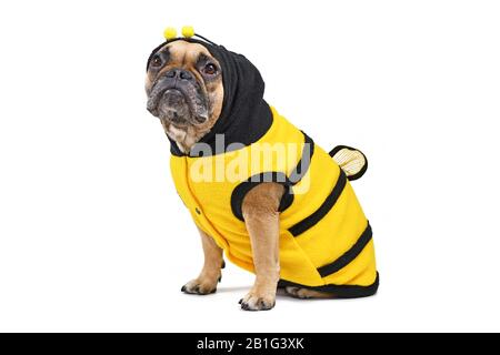 Felpa Con Cappuccio Bulldog Francese - Divertente Slogan 'No Solo No Cane' | Regalo Per Amanti Cani