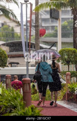 due giovani donne che camminano in pioggia tenendo ombrelli per coprirli dal downpour o dalla doccia. Foto Stock