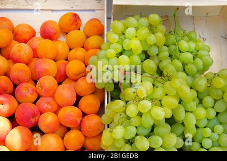 Scatole con albicocche e uve bianche provenienti dal mercato agricolo mediterraneo. Sano mercato estivo di alimenti biologici locali. Foto Stock