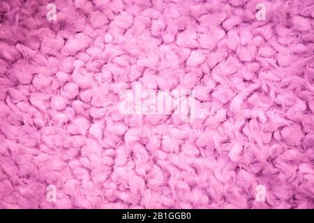 Primo piano di lana, pelliccia texture sfondo. Pelliccia sfondo. Cotone rosa, tessitura di pelle di pecora. Foto Stock