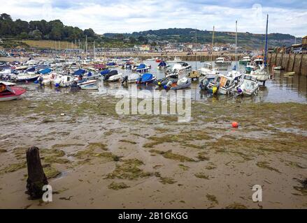 Barche locali sulla zona sabbiosa intertidale a bassa marea in legis ryme, Inghilterra meridionale Foto Stock