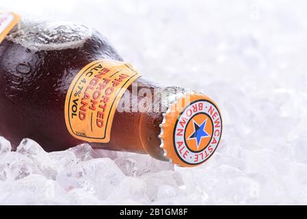 Irvine, California - 26 AGOSTO 2016: Una bottiglia di Newcastle Brown Ale. Lanciato nel 1927 dal colonnello Jim Porter dopo la fusione delle birrerie di Newcastle con Sco Foto Stock