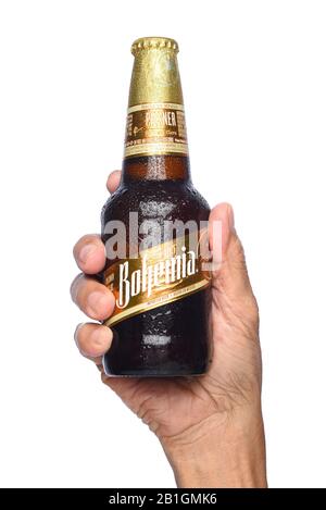 Irvine, CALIFORNIA - 26 APRILE 2019: Primo piano di una mano che contiene una bottiglia di birra Boemia. Da Cerveceria Cuauhtemoc-Moctezuma, fondata nel 1890, oggi a. Foto Stock
