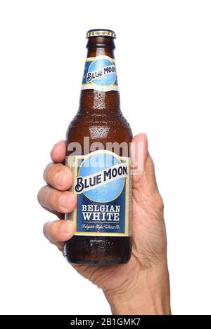 Irvine, CALIFORNIA - 26 APRILE 2019: Primo piano di una mano che tiene una bottiglia di Blue Moon Belga White Ale dal Decimo e Blake Beer Company, il mestiere / Foto Stock