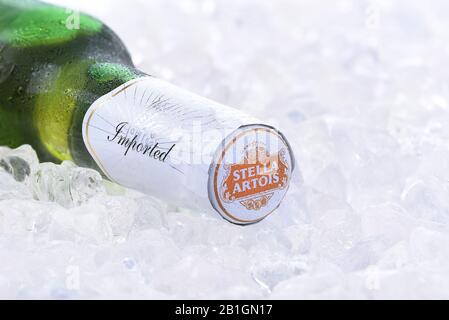 Irvine, California - 26 AGOSTO 2016: Una bottiglia di stell Artois Beer Closeup on Ice. Stella è stata prodotta a Leuven, Belgio, dal 1926, e lanciata come a. Foto Stock