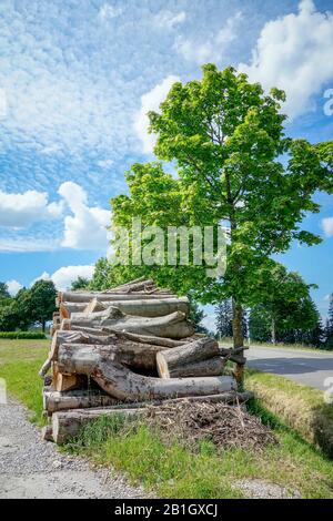 Pila di legno lungo una strada ai piedi delle Alpi Bavaresi, Germania, Baviera, Peissenberg Foto Stock