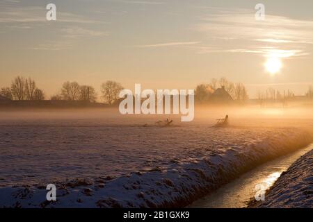 Paesaggio invernale all'alba, Paesi Bassi Foto Stock