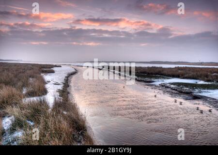 Vecchia guida Roggesloot in inverno, Olanda, Texel Foto Stock