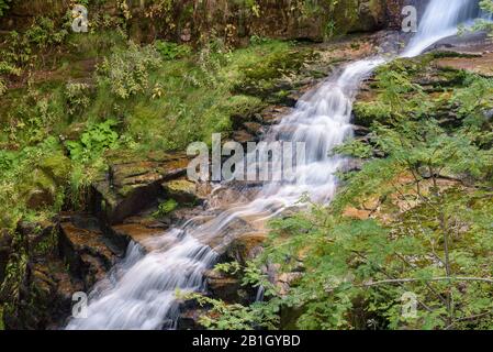 Cascata del fiume Kamienczyk - la cascata più alta delle montagne Giant Polish Foto Stock