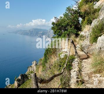 Una stretta sezione del Sentiero degli dei sulla Costiera Amalfitana, l'Italia ha solo un corrimano di legno di rickety per proteggere gli escursionisti. Foto Stock