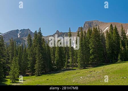Montagne spettacolari Che Si Stagliano su un prato alpino nel Parco Nazionale del Great Basin in Nevada Foto Stock
