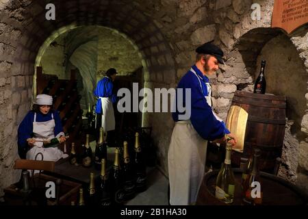 Mostre all'interno del Museo del vino di Parigi Musee du Vin de Paris.Paris.France Foto Stock