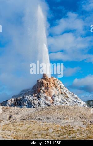 Geyser che erutta sparando un getto di acqua calda e steamy nel cielo. Foto Stock