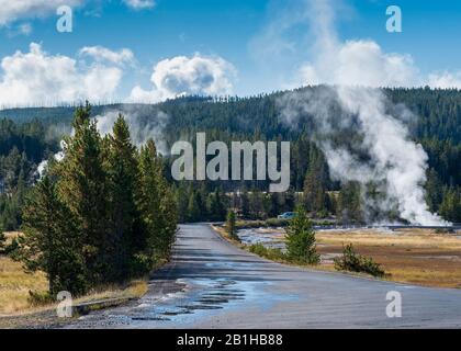 Strada asfaltata di campagna che attraversa il parco. Foto Stock