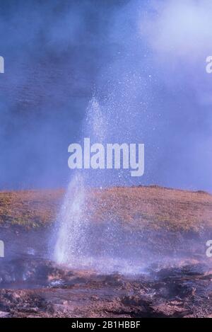 Primo piano di un piccolo geyser in eruzione che rilascia acqua calda e vapore nell'aria. Foto Stock