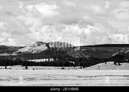 Campi di gras con pini e montagne, bianco e nero. Foto Stock