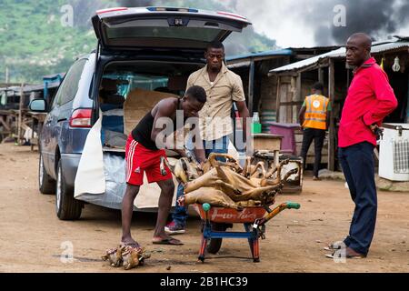 Lavorazione della carne di capra a Gudu, Abuja, Nigeria. Foto Stock