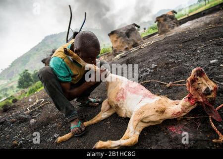 Lavorazione della carne di capra a Gudu, Abuja, Nigeria. Foto Stock