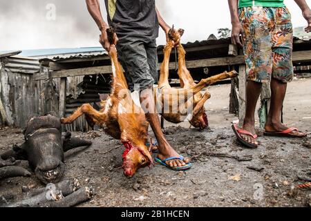 Lavorazione della carne di capra a Gudu, Abuja, Nigeria. Foto Stock