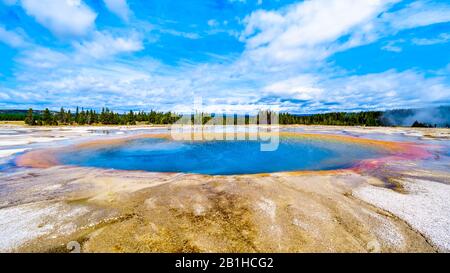 L'acqua Turchese colorata del geyser Turquoise Pool nel Parco Nazionale di Yellowstone, Wyoming, United Saes Foto Stock