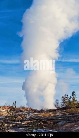 Geyser in eruzione che spara acqua calda e vapore in un cielo blu. Foto Stock