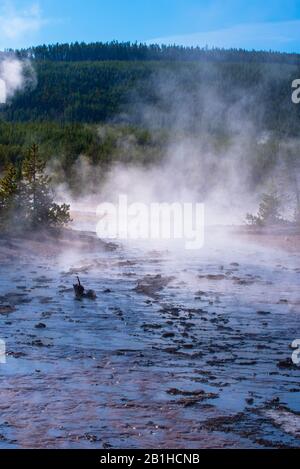 Fiume che scorre nelle sorgenti termali calde e nella foresta verde. Foto Stock