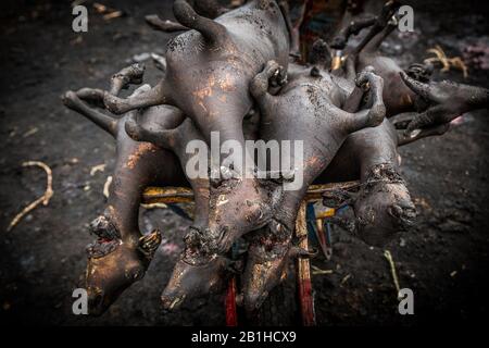 Lavorazione della carne di capra a Gudu, Abuja, Nigeria. Foto Stock