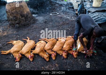 Lavorazione della carne di capra a Gudu, Abuja, Nigeria. Foto Stock