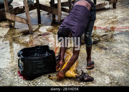 Lavorazione della carne di capra a Gudu, Abuja, Nigeria. Foto Stock