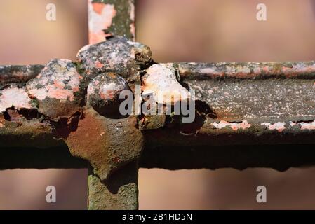 Vista ravvicinata e dettagliata di una vecchia recinzione arrugginita, con un fiore di ferro stagionato e segni di decadimento Foto Stock