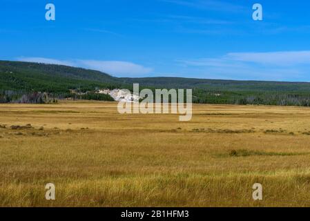 Campo d'erba dorata con verde montagna boscosa oltre sotto un cielo blu con nuvole bianche. Foto Stock